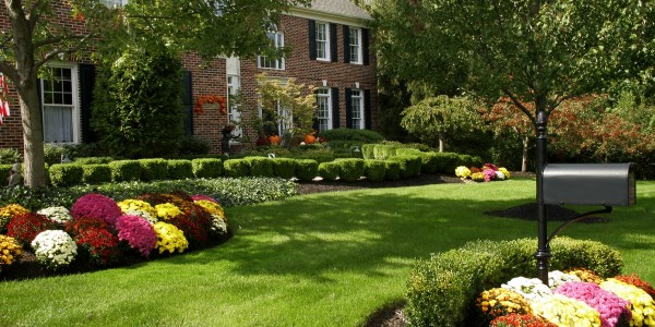 Landscaping Companies Near Me