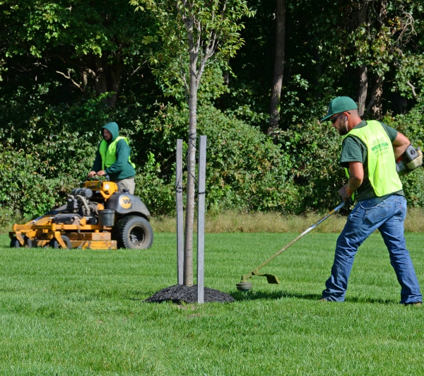 Landscaping Companies Near Me